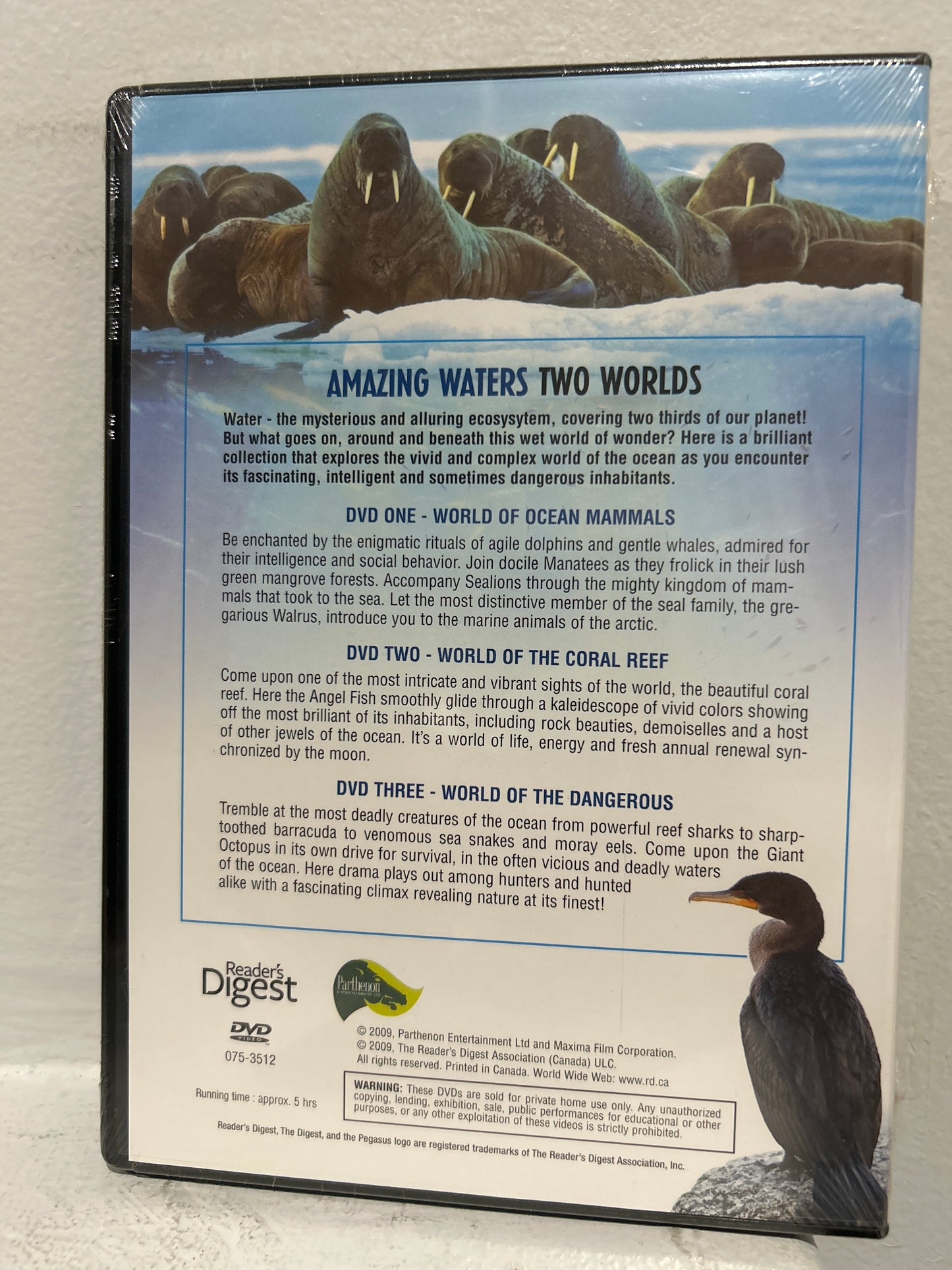 AMAZING WATERS (2009)