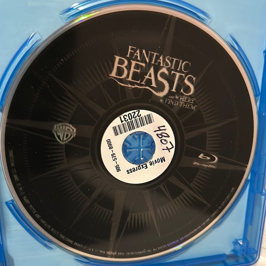 Fantastic Beasts and Where to Find Them (2016)
