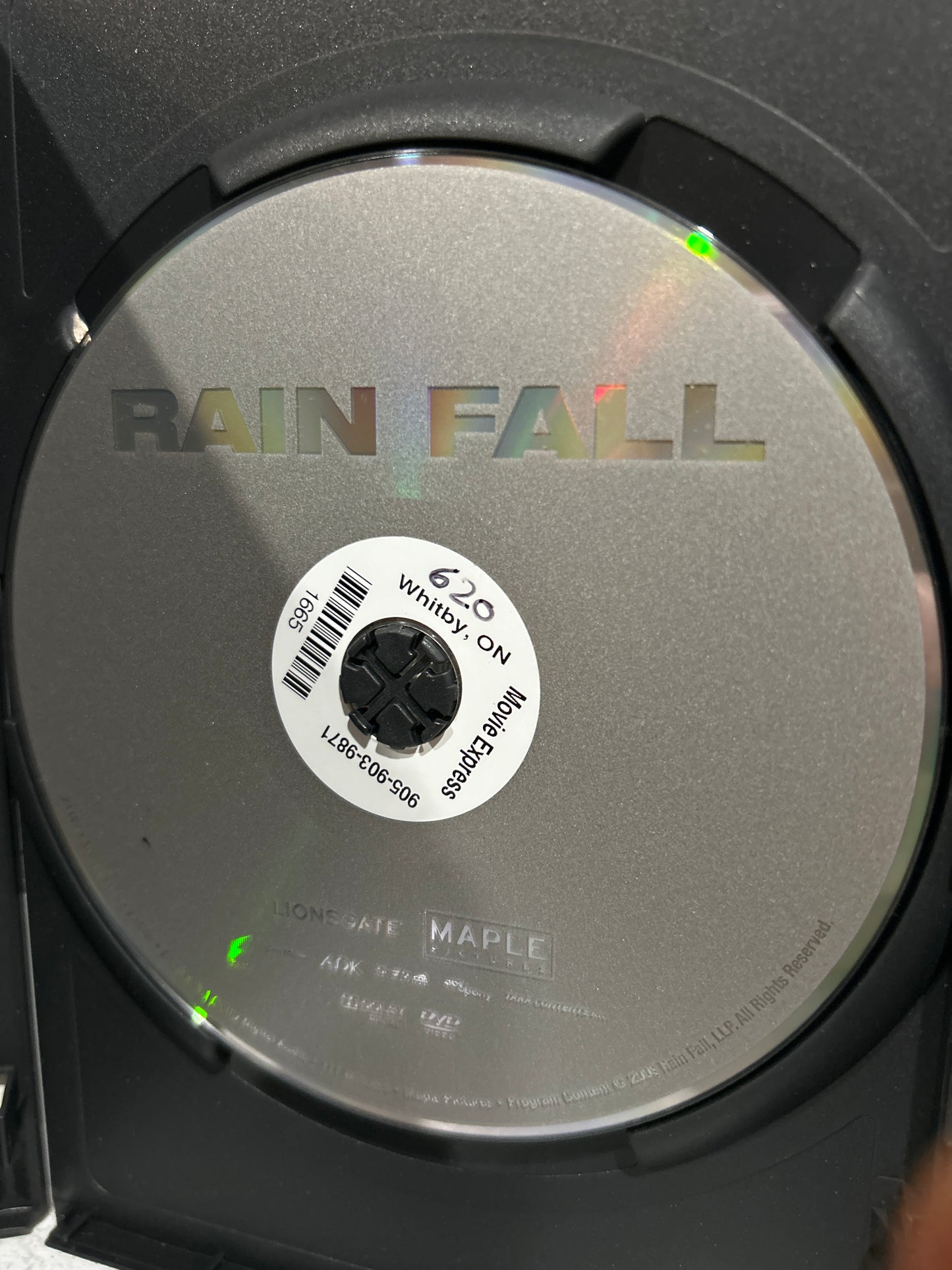 Rain Fall (2010)