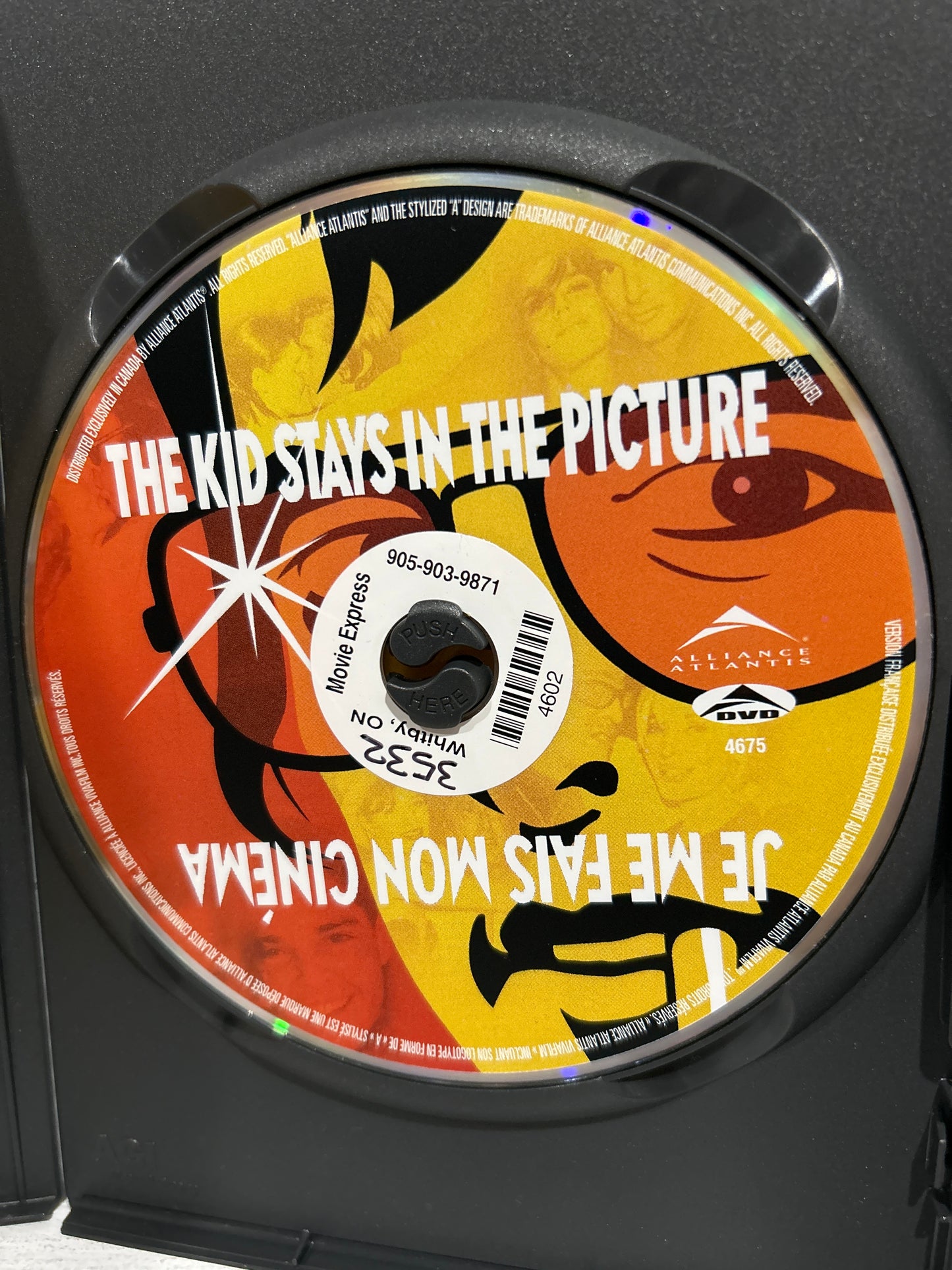 Kid Stays in the Picture, The (2002)