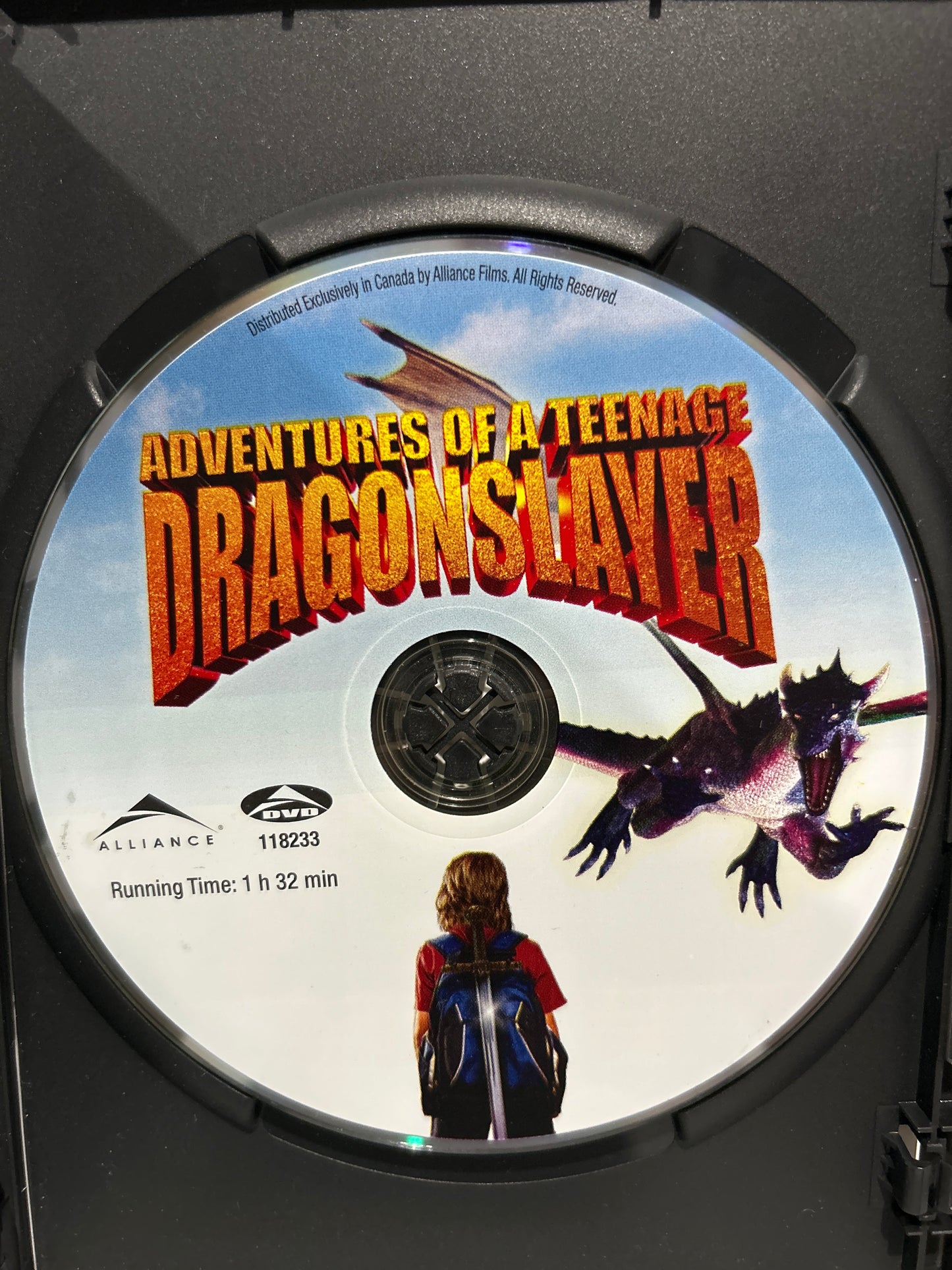 Adventures of a Teenage Dragon Slayer (I Was a 7th Grade Dragon Slayer) (2010)