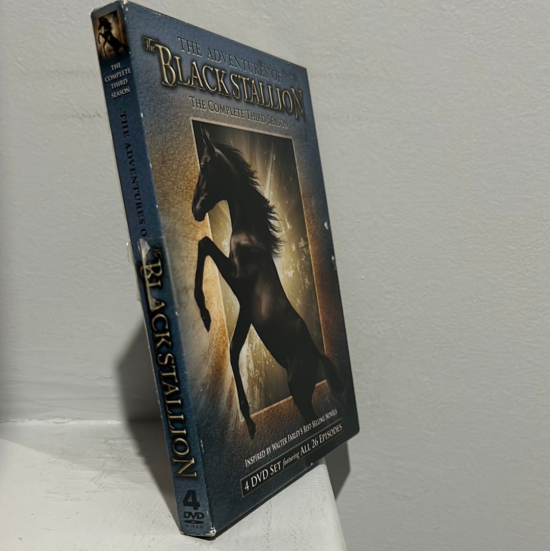 The Adventures of the Black Stallion : TV Series (1990-1993): The Complete Third Season