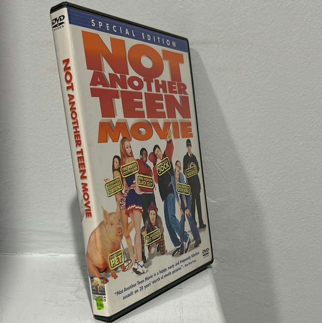 Not Another Teen Movie (2001)