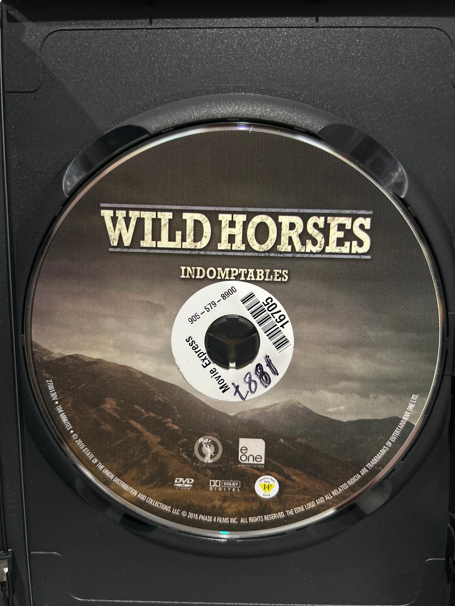 Wild Horses (2015)