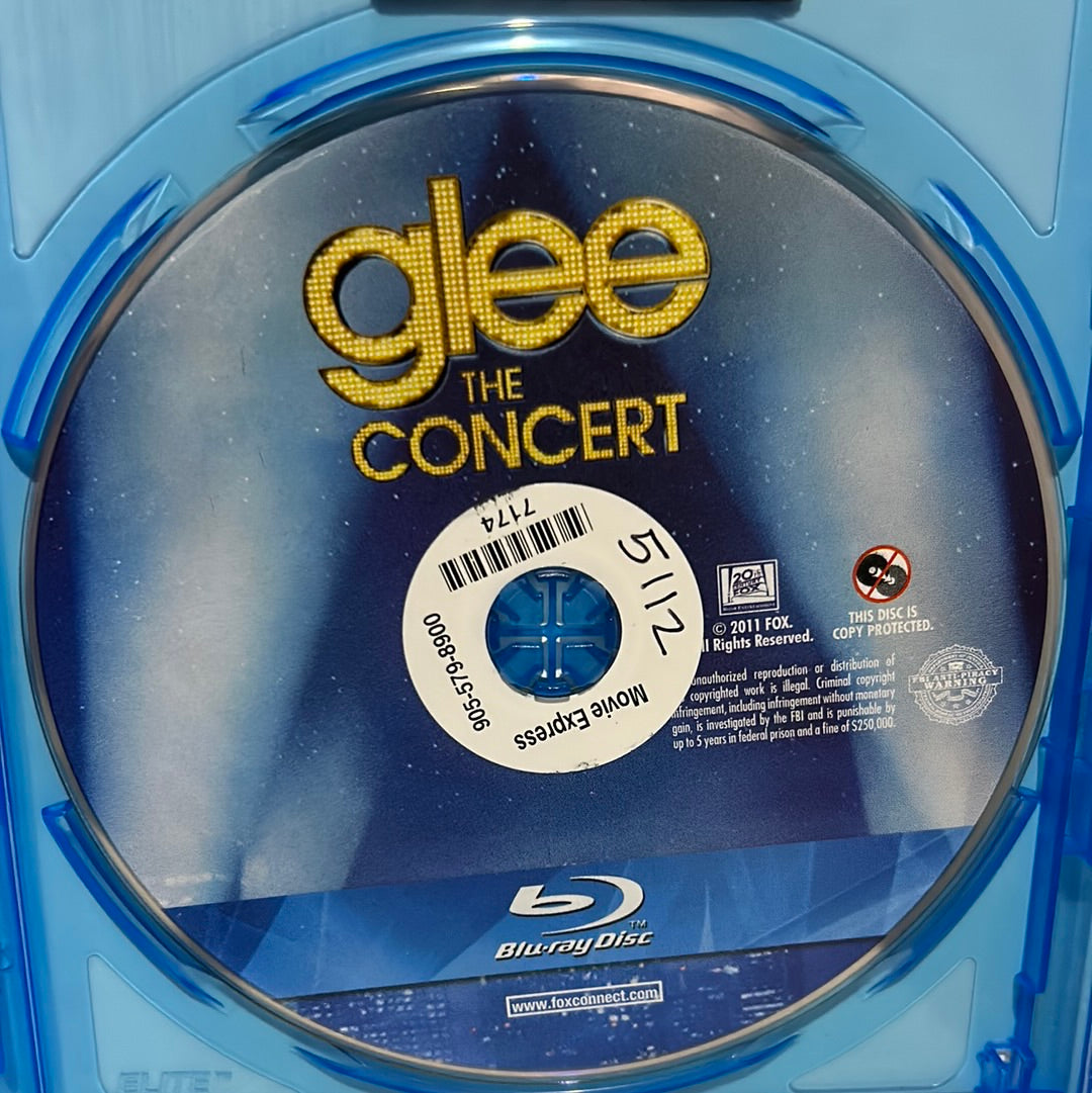 Glee: The Concert Movie (2011)