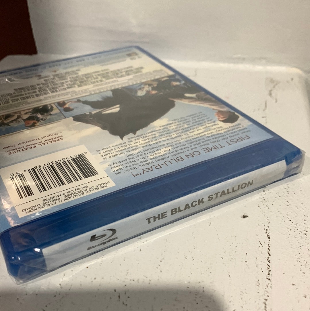 Black Stallion, The (1979)