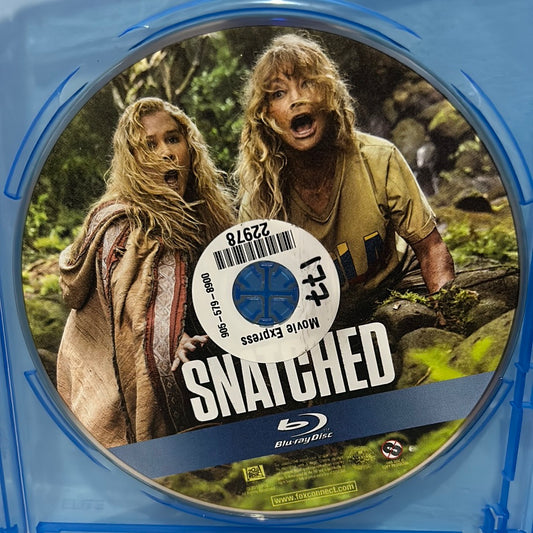 Snatched (2017)