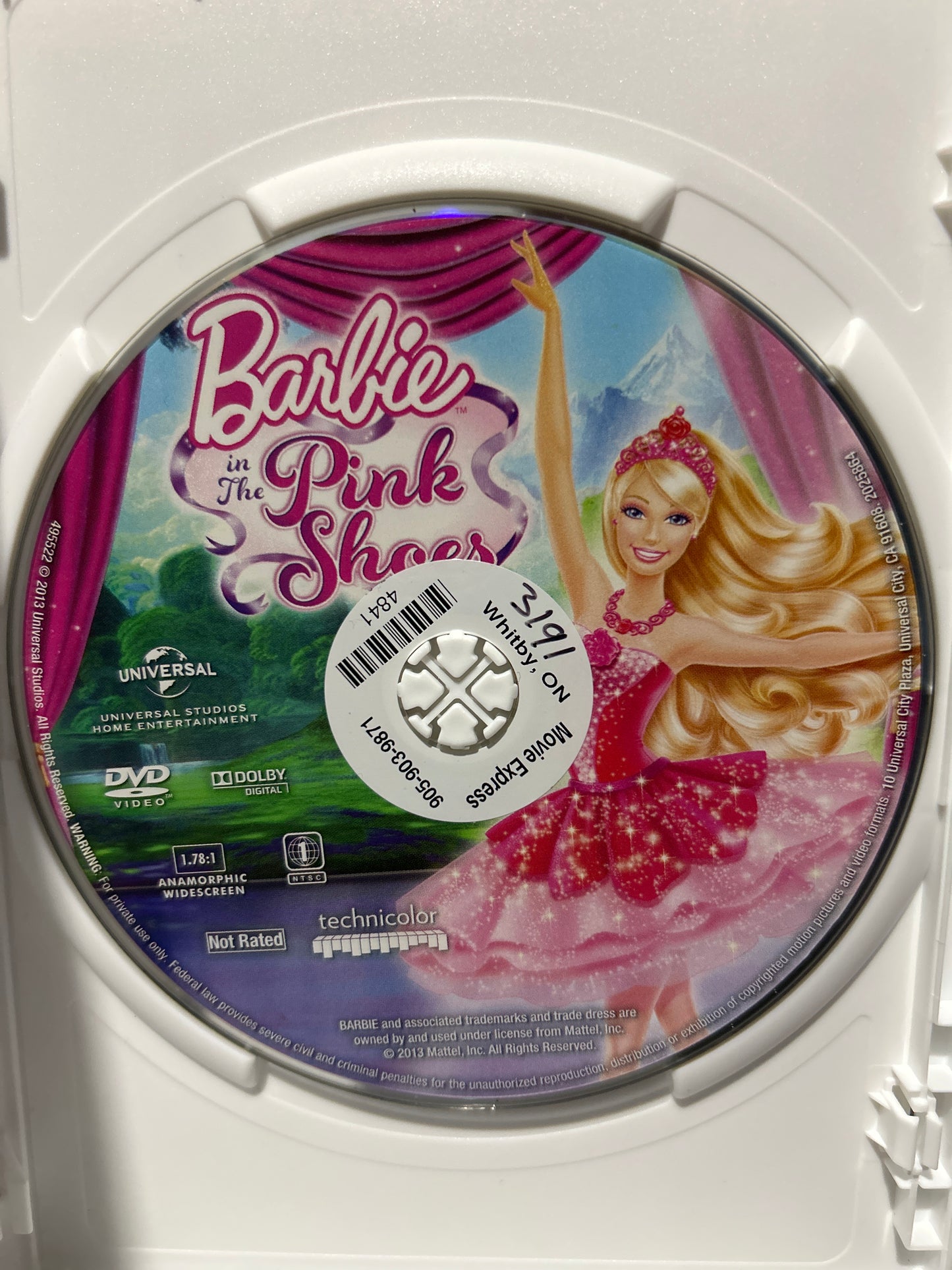 Barbie: in the Pink Shoes (2013)