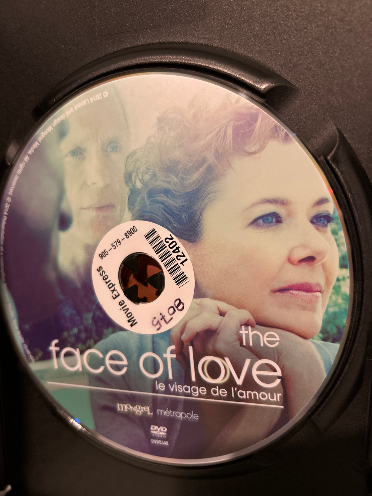 Face of Love, The (2013)