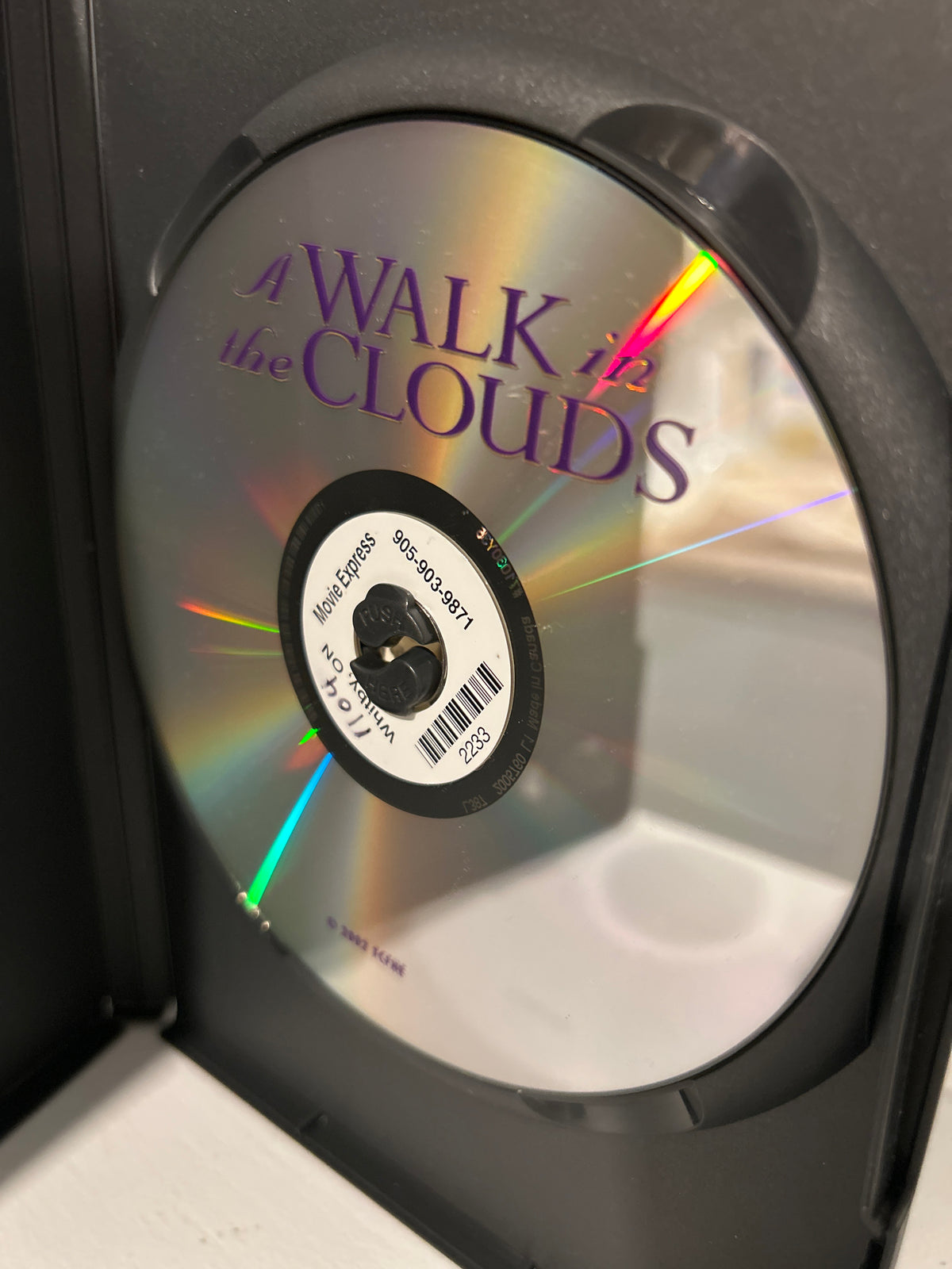 Walk in the Clouds, A (1995)