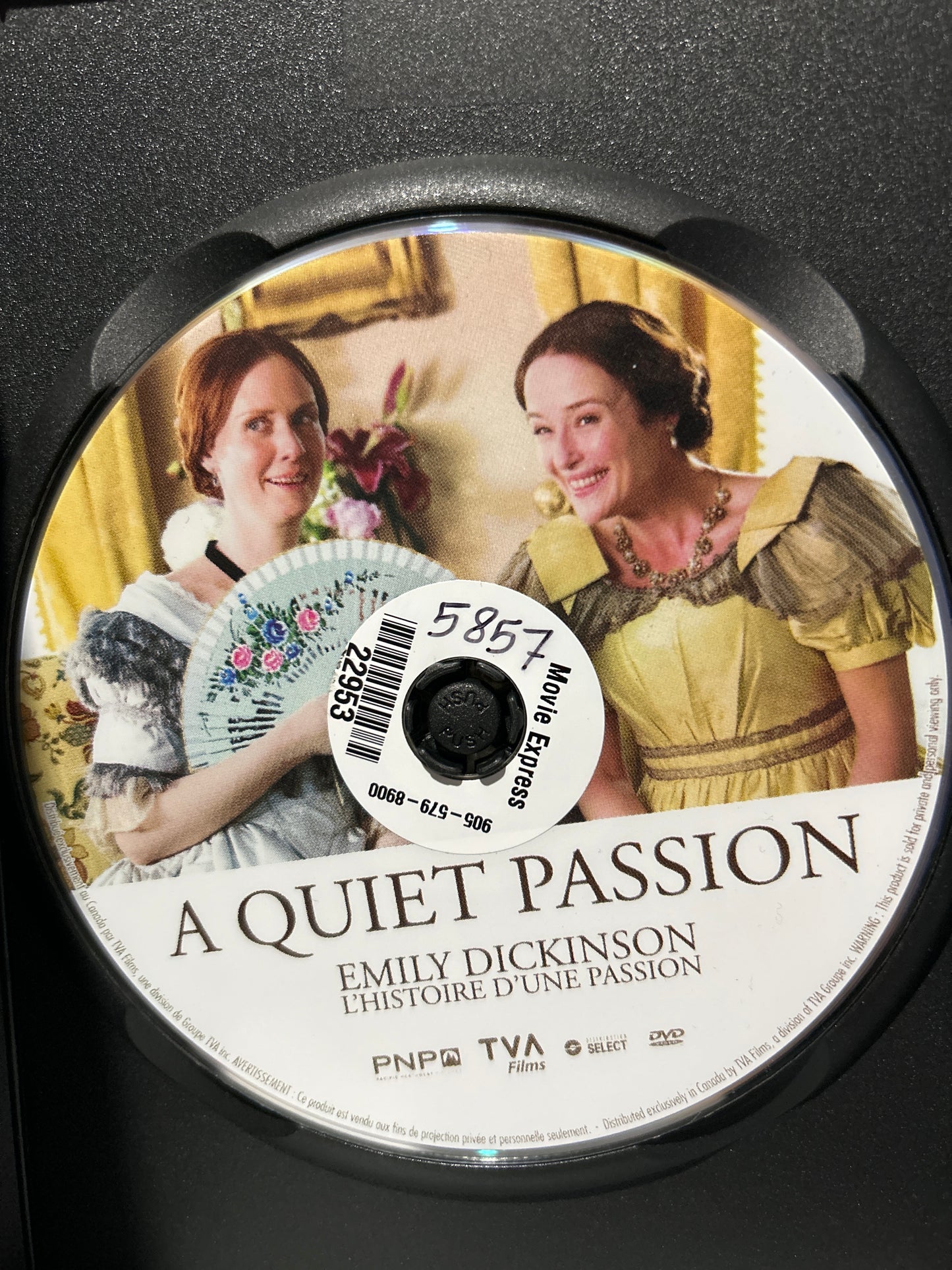 Quiet Passion, A (2016)