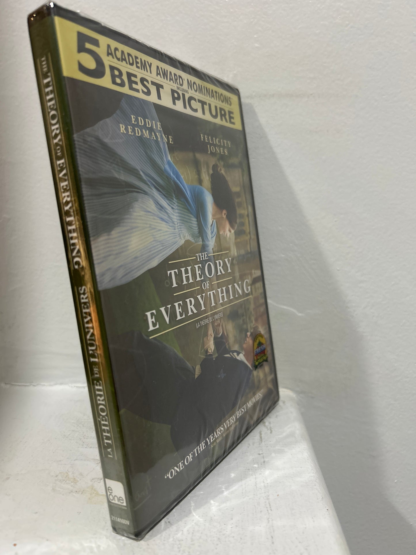 Theory of Everything, The (2014)