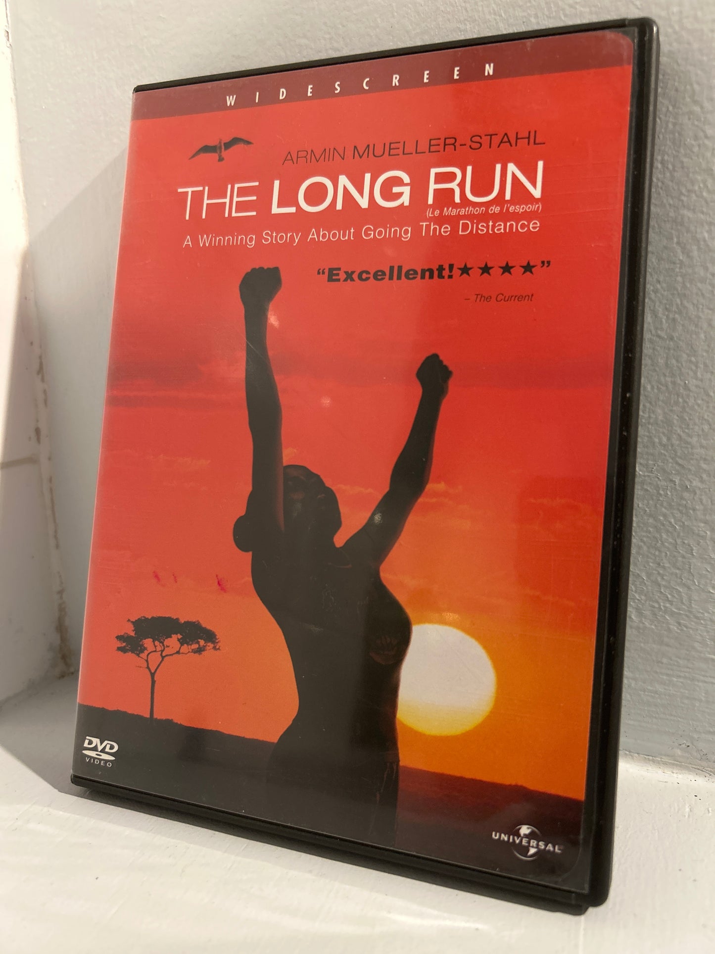 Long Run ,The (2001)