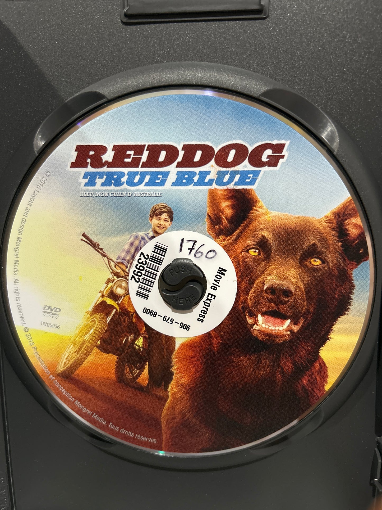 Red Dog: True Blue (2016)