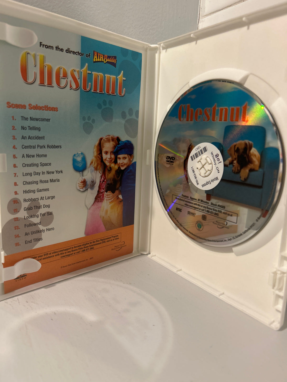Chestnut: Hero of Central Park (2004)
