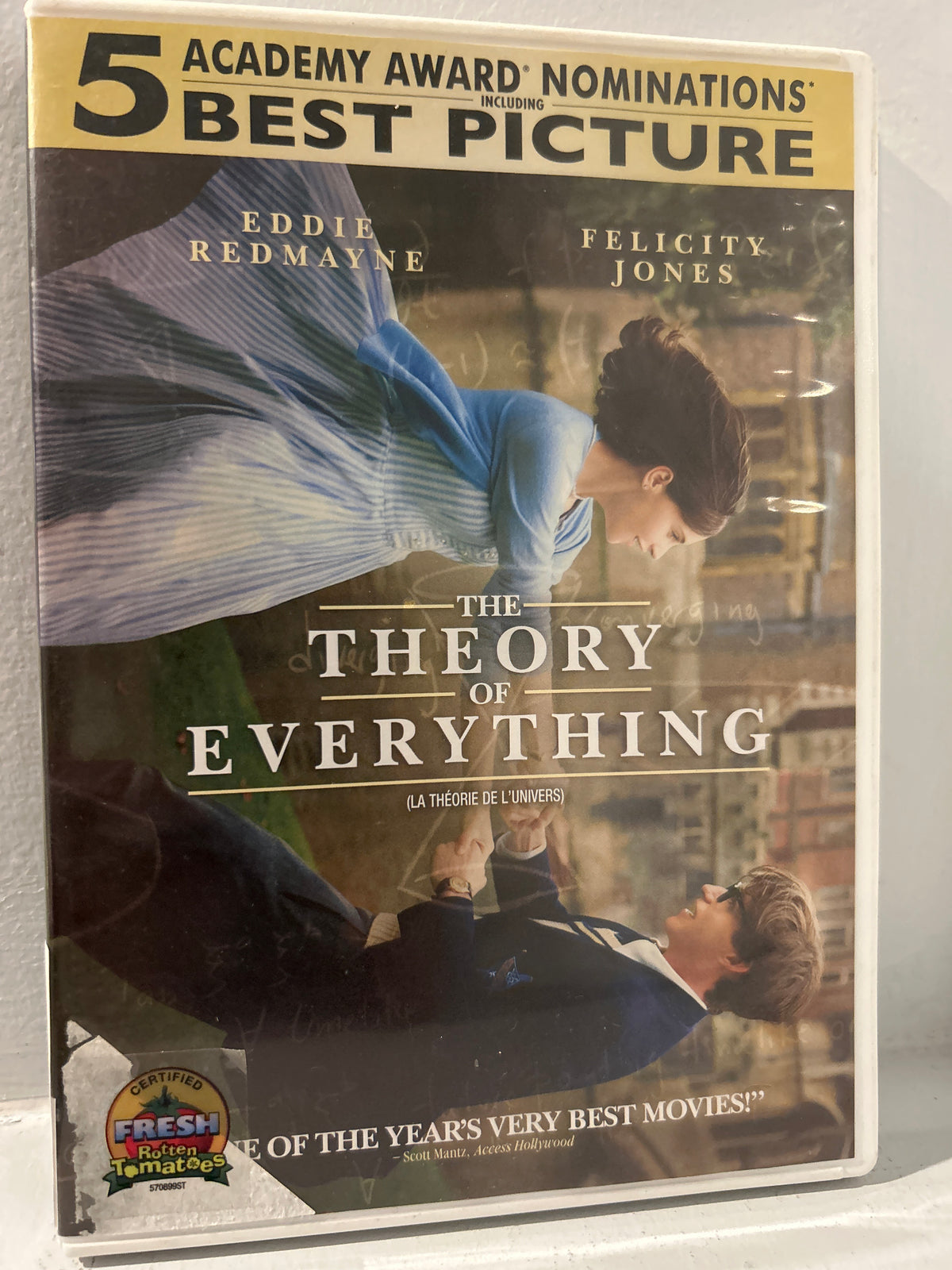 Theory of Everything, The (2014)