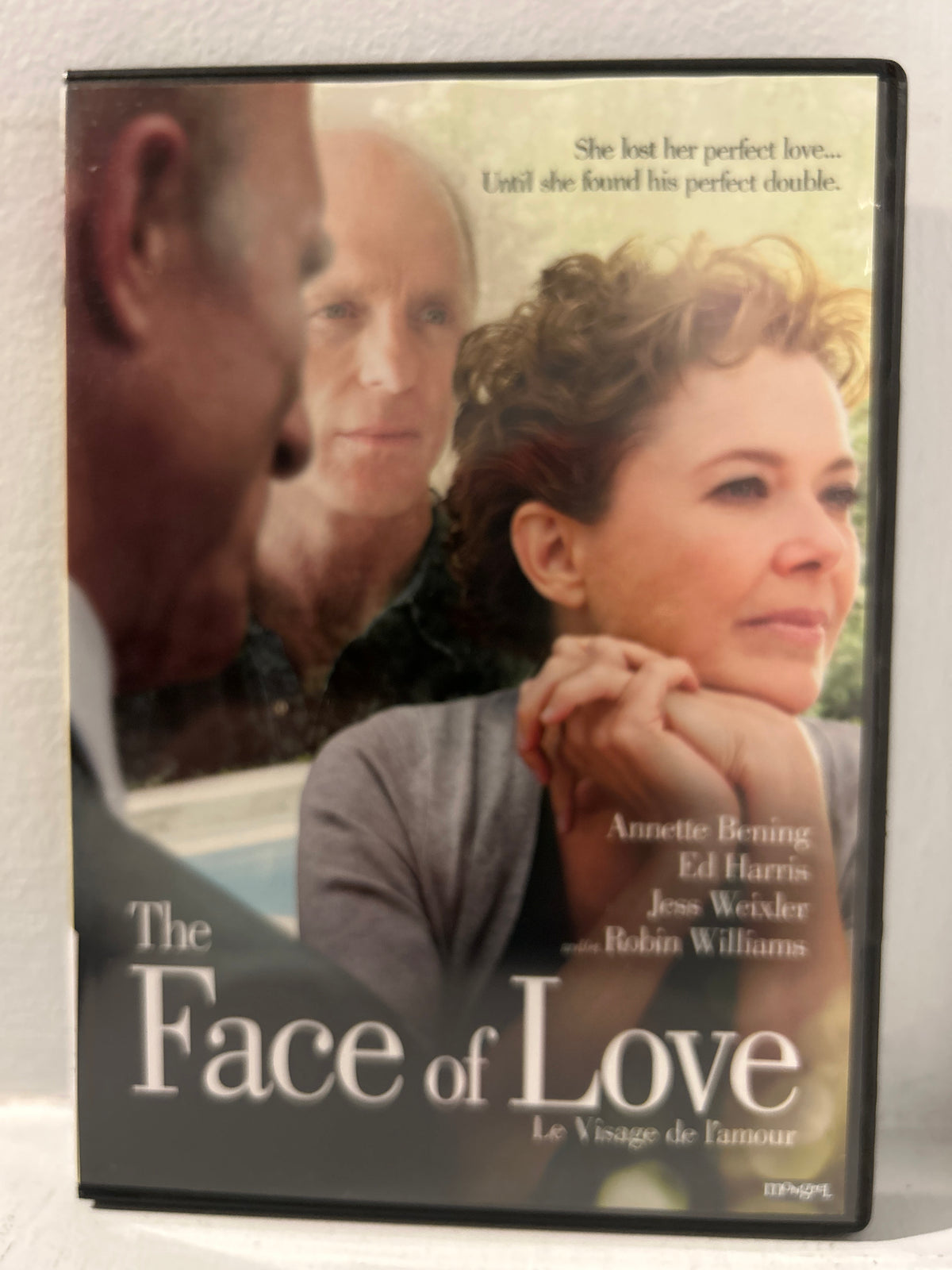 Face of Love, The (2013)
