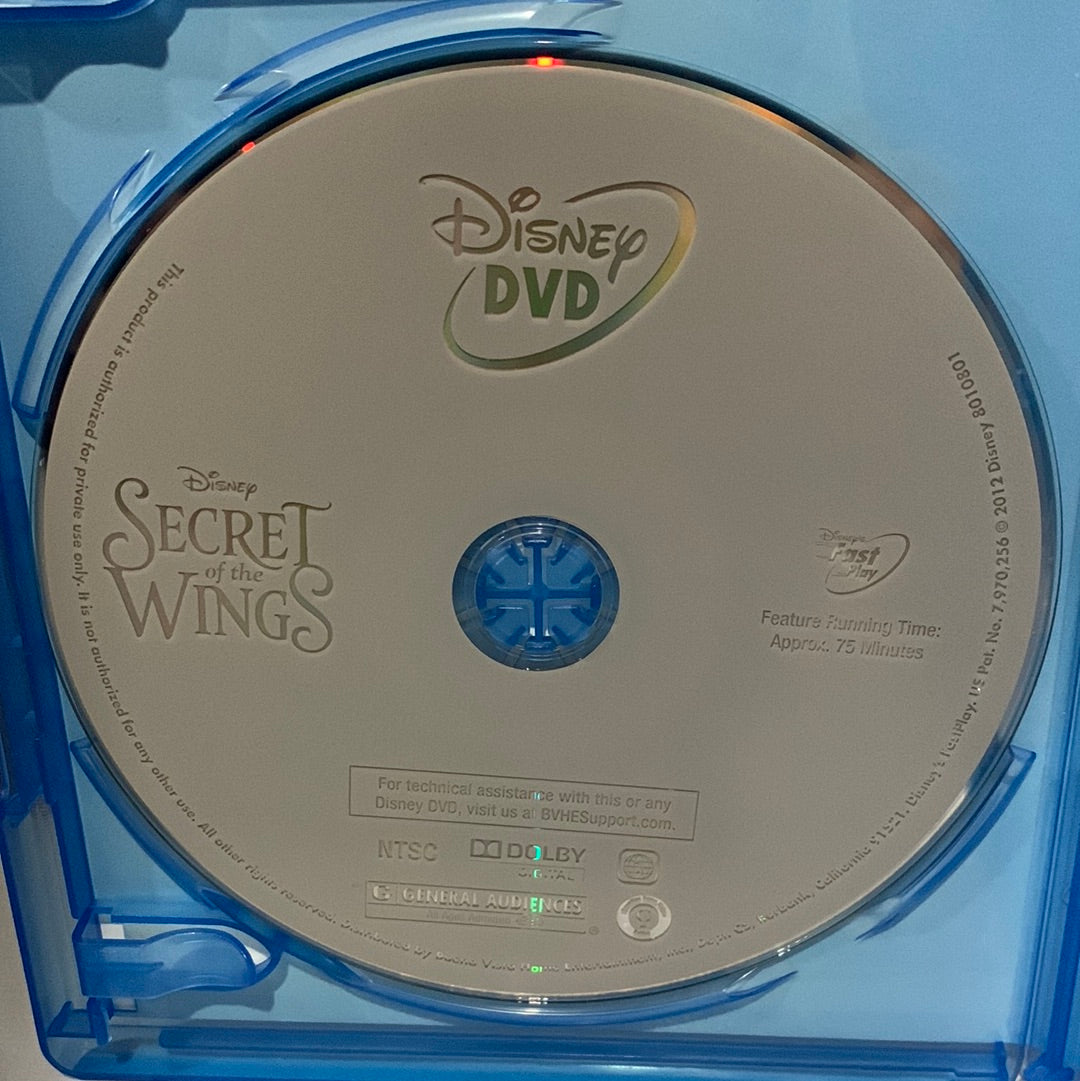 Secret of the Wings (2012)