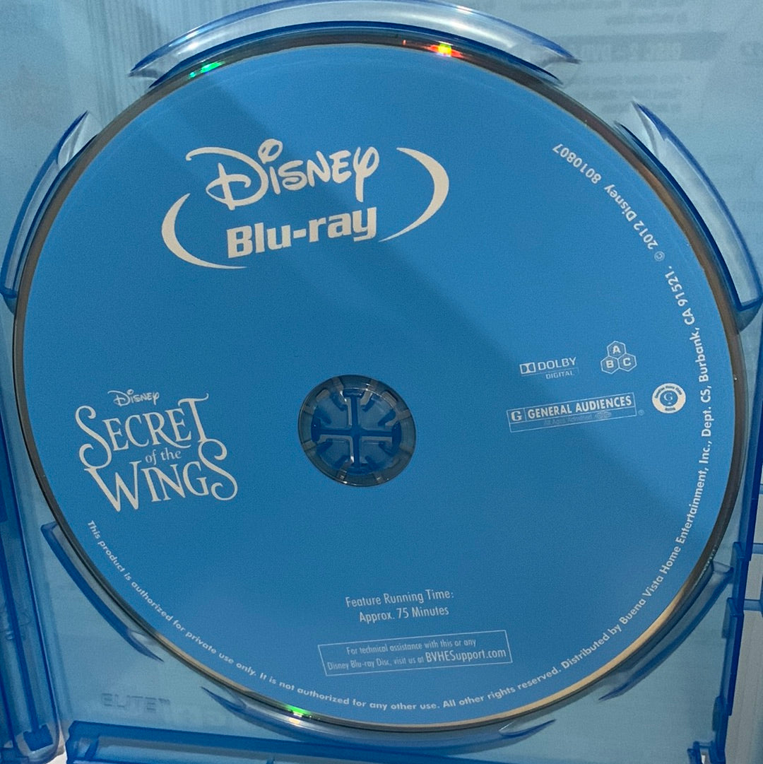 Secret of the Wings (2012)