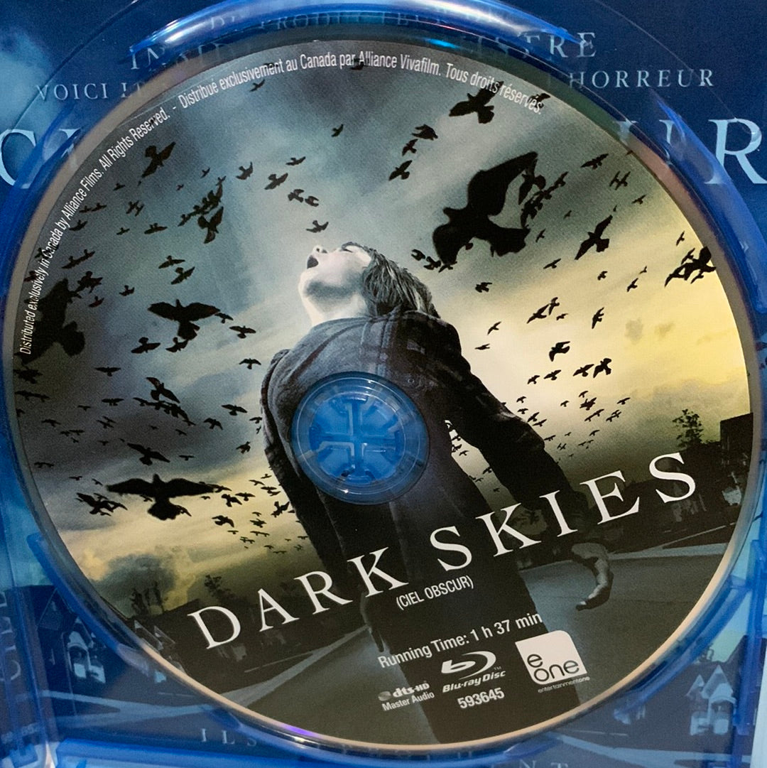 Dark Skies (2013)