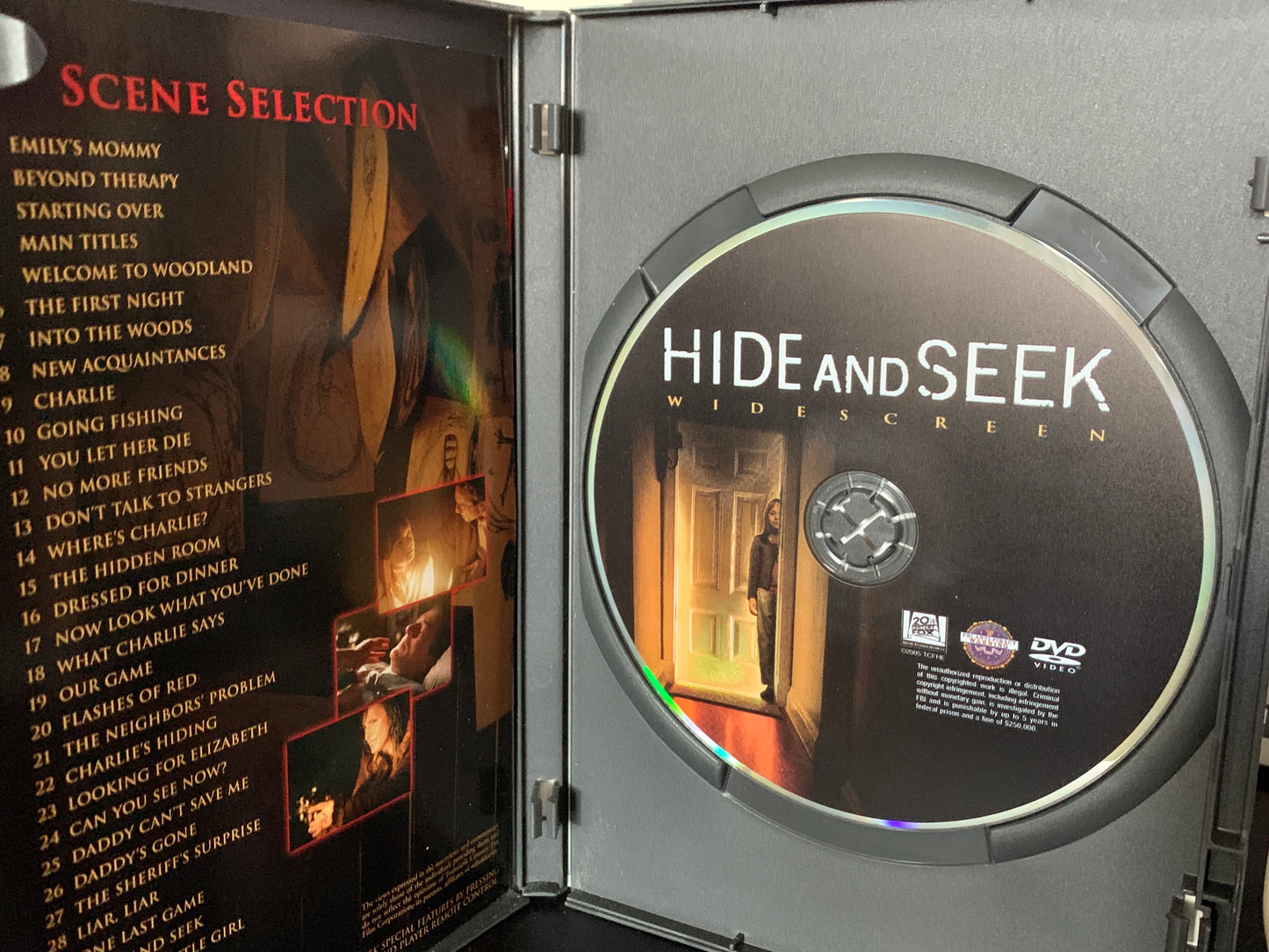 Hide and Seek (2005)